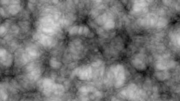 Abstract Texture in Black and White with Organic Patterns and Shades video