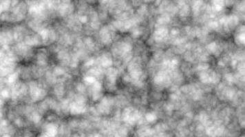 Abstract Black and White Texture with Organic Patterns and Lines video