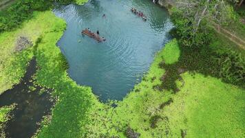 people having fun in a fish pond video