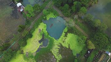 a speed ramp aerial footage of people playing in a fish pond video