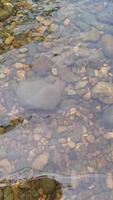 Picture of walking in a shallow river with visible rocks on the bottom. video