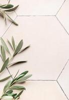 Olive branches framing hexagonal tile background with copy space photo