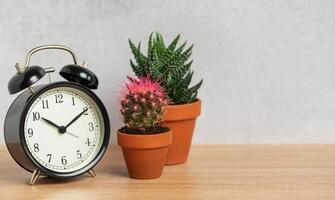 Alarm clock showing with cactus and succulents in terracotta pots on wooden table photo