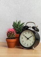 Alarm clock showing nine o'clock with cactus and succulents in terracotta pots on wooden table photo