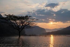 A stunning view of a giant rain tree standing gracefully in the calm waters of Mae Ngat Dam, Phrao District, Chiang Mai 3 photo