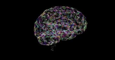 Rotating brain model of colored interweaving of dots, lines, and triangular faces on a black background. Plexuses. Abstract animation. video