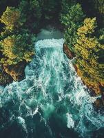 Ocean waves crashing into cove with forest, aerial view photo