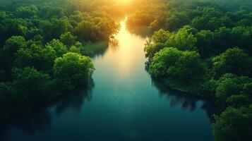 Aerial river through lush forest at sunset photo