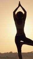 como el Dom conjuntos, un mujer graciosamente practicas el árbol pose, encarnando equilibrar y tranquilidad, inmerso en naturalezas belleza, capturar un sereno momento de reflexión y atención plena video