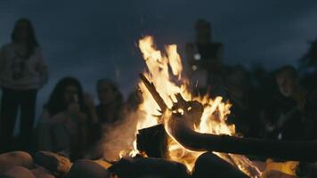 A group of friends gathers around a campfire under the night sky, sharing laughter and stories, enjoying the warmth and camaraderie on a summer evening, and making unforgettable memories video