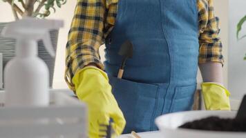 A person in a blue apron and yellow gloves is working with gardening tools, preparing to care for houseplants and pot flowers in a bright, inviting indoor space filled with charm and greenery video