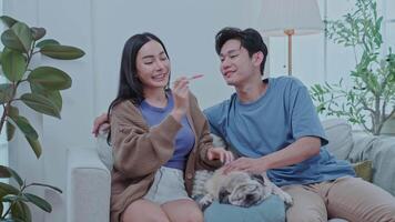 A young couple sits on a sofa together, smiling and looking at the pregnancy results with joy, while their pug dog relaxes nearby. The bright room is filled with green plants creating warm atmosphere. video