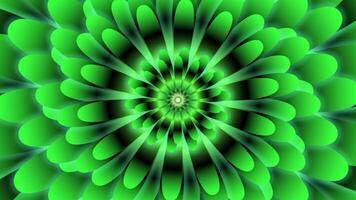 Background with flower opening with green petals loop effect video