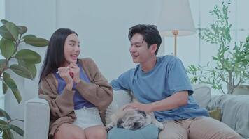 A young couple sits on a sofa together, smiling and looking at the pregnancy results with joy, while their pug dog relaxes nearby. The bright room is filled with green plants creating video