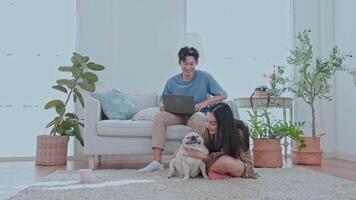 Couple enjoying a cozy moment at home with their dog while looking at their smartphone in a stylish living room a cheerful atmosphere. video