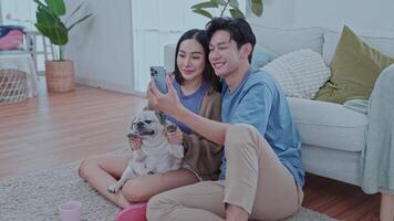 Couple enjoying a cozy moment at home with their dog while looking at their smartphone in a living room video
