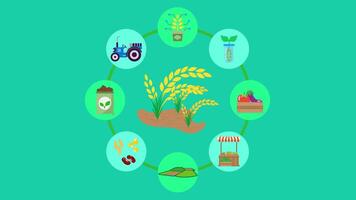 Essence of Agriculture Animation. Suitable for agriculture, food security and nature content. 2d animation 4k. Transparent Background. video