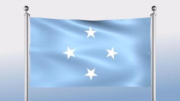 Micronesia Federated States Flag Hangs On The Pole On Both Sides video