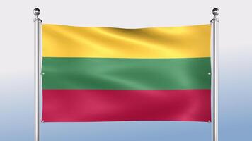 Lithuania Flag Hangs On The Pole On Both Sides video