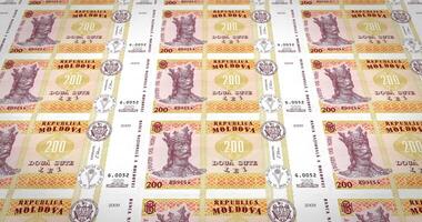 Moldova 2017 - Banknotes of two hundred moldovan lei of Moldova, cash money, loop video