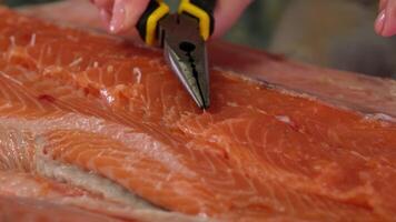 with pliers remove the bones from the salmon Preparing salmon fillet for further cooking, removing bones. Top view. video