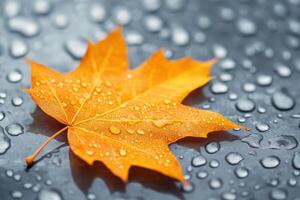 Close-Up of a Brown Maple Leaf Resting on Wet Textured Surface for Nature and Environmental Themes photo