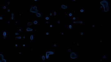 Royal blue color transparent water droplets appearing and disappearing abstract design loop able dark background video