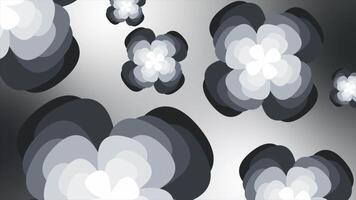 White and Black color rotating multiple flower shapes modern design dark loop able floral background video