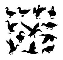 set of illustration of a duck silhouette on a white background vector
