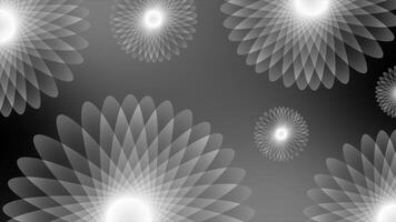 White and Black rotating multiple flower shapes modern design dark loop able floral background video