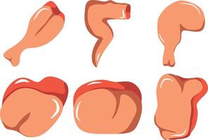 Chicken meat part set, parts of carcass, brisket wing vector