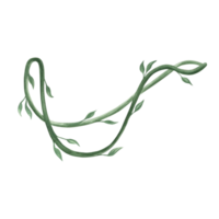 Watercolor tropical liana, vine tropical climbing plant with leaves. Hand drawn greenery lush foliage of jungle. Isolated illustration for summer rainforest designs in realistic botanical style. png