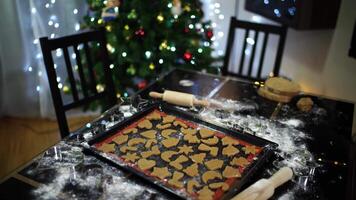 Baking sheet with Christmas cookies of various shapes lies on the table video
