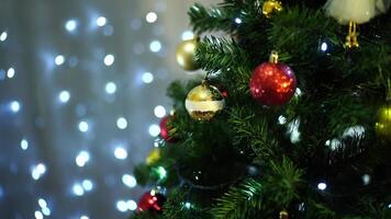 Multi-colored sparkling balls hang on spruce branches video