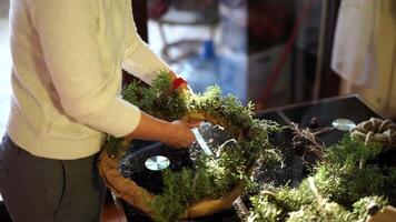 Designer attaches fir branches to the round frame of the New Year wreath video