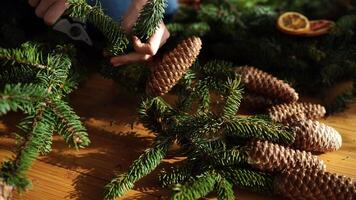 Designer cuts fir branches with scissors to make a New Year wreath video