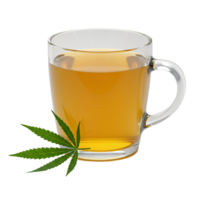 A clear mug filled with a golden liquid and a green leaf on a simple background scene view transparent background png