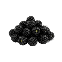 A pile of fresh blackberries arranged together on a plain surface with a neutral colored setting around them transparent background png