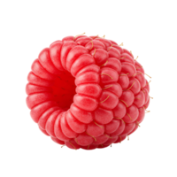 A single raspberry with a hole in the center on a plain setting, showing its texture and vibrant color transparent background png