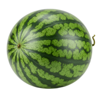 A single watermelon with green stripes against a plain setting in a studio environment view shot transparent background png