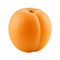 Close up view of a single ripe apricot with a smooth skin and a small stem on a plain setting transparent background png