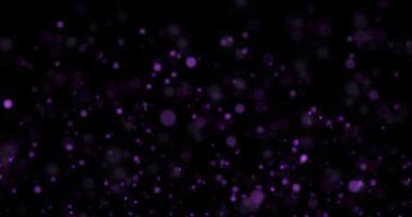 Purple Colors Luxury with Glow Bokeh Background. Black background , Use blending mode screen. Loop Animation video