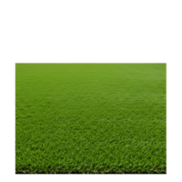 An expansive view of a vibrant green field extending into the distance under a neutral sky above it transparent background png