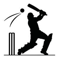 Cricket player silhouette in action pose. illustration of a batsman, bowler and fielder. For sports designs, team logos, and tournament graphics. vector