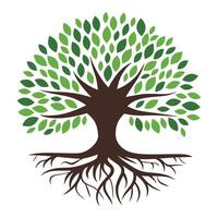 Green tree illustration featuring lush leaves and visible roots. for nature, ecology, and environmental concepts. vector