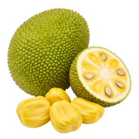 A display of jackfruit a whole one, a halved one, and several segments on a neutral surface area transparent background png