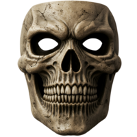 Weathered skull with cracks and visible teeth against a plain solid color simple studio shot image transparent background png