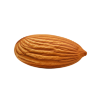 A single almond nut with a textured surface is displayed against a plain contrasting backdrop here transparent background png