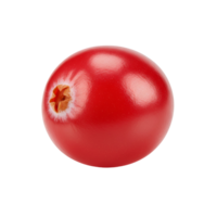 A single cranberry with a smooth surface isolated showing its natural form and vibrant color on plain setting transparent background png