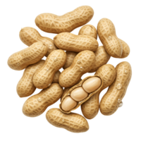 A collection of peanuts in their shells with water droplets and one peanut shell is open to show nuts transparent background png